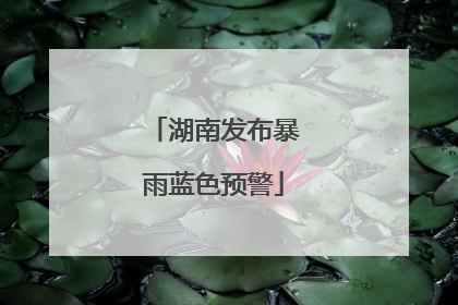 湖南发布暴雨蓝色预警